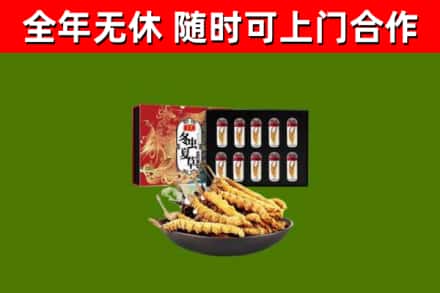 江阴烟酒回收冬虫夏草礼盒.jpg